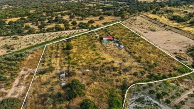 House with Pool in Alcuéscar photo 35