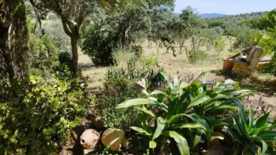 House on a 5-Hectare with Rustic House in Natural Park photo 18