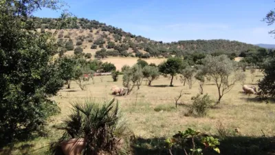 House on a 5-Hectare with Rustic House in Natural Park photo 19