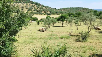House on a 5-Hectare with Rustic House in Natural Park photo 14
