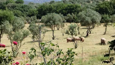 House on a 5-Hectare with Rustic House in Natural Park photo 3