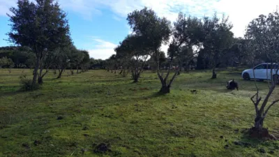 House on a 5-Hectare with Rustic House in Natural Park photo 6