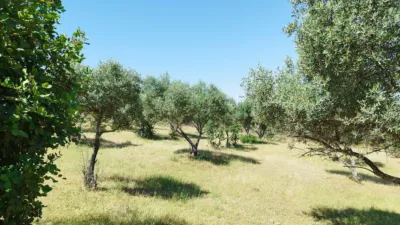 House on a 5-Hectare with Rustic House in Natural Park photo 13