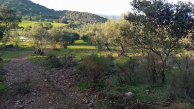 House on a 5-Hectare with Rustic House in Natural Park photo 9