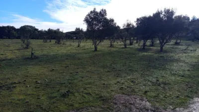 House on a 5-Hectare with Rustic House in Natural Park photo 10