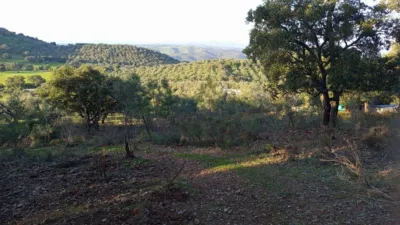 House on a 5-Hectare with Rustic House in Natural Park photo 8