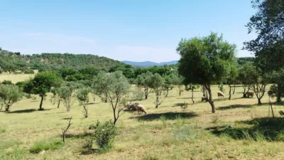 House on a 5-Hectare with Rustic House in Natural Park photo 15