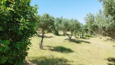 House on a 5-Hectare with Rustic House in Natural Park photo 11