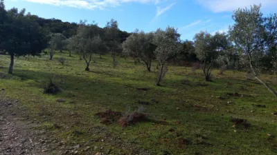House on a 5-Hectare with Rustic House in Natural Park photo 17