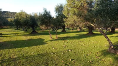 House on a 5-Hectare with Rustic House in Natural Park photo 7