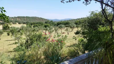 House on a 5-Hectare with Rustic House in Natural Park photo 23