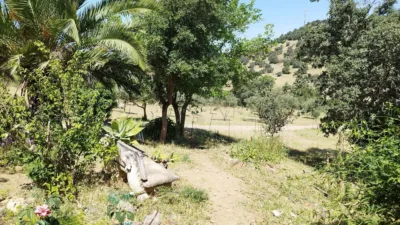 House on a 5-Hectare with Rustic House in Natural Park photo 25