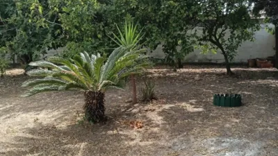 House near Carrefour Express photo 8