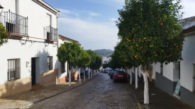 Terraced house in Almadén de La Plata, Sierra Norte de Sevilla photo 4