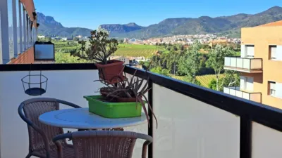 Apartment in Zona del Rebato photo 9