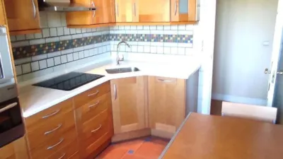 Apartment in San Roke, Elgueta photo 15