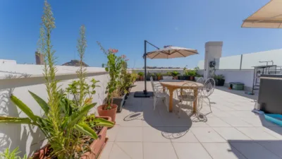 Penthouse next to Avenida de Elche and Benalúa photo 30