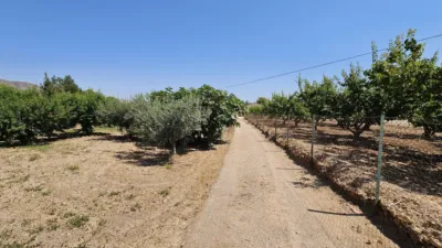 Country House in Casa de Campo with Pool near Las Encebras-Jumilla photo 34