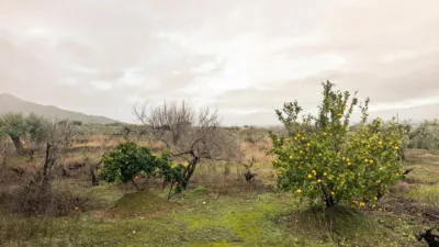 House in the Robledo area, Montánchez photo 18