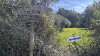 Rustic finca located between Bodegas Xaloc and El Golf in Pollença photo 5