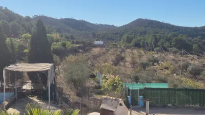 Semi-detached house in a row of houses in Pda. de La Zafra, 4 km from Monovar photo 31