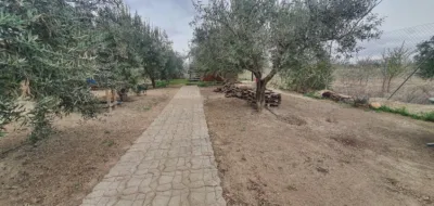 House in Campos de Tobarra, Address - Sierra photo 22