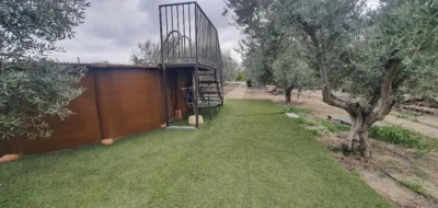 House in Campos de Tobarra, Address - Sierra photo 7