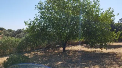 House in Casa de Campo with 3,000 sqm in El Castillo de Las Guardas photo 11