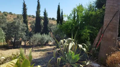 House in Casa de Campo with 3,000 sqm in El Castillo de Las Guardas photo 21