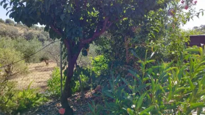 House in Casa de Campo with 3,000 sqm in El Castillo de Las Guardas photo 24