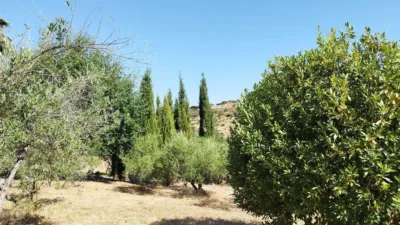 House in Casa de Campo with 3,000 sqm in El Castillo de Las Guardas photo 28