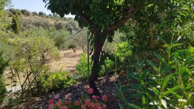 House in Casa de Campo with 3,000 sqm in El Castillo de Las Guardas photo 3
