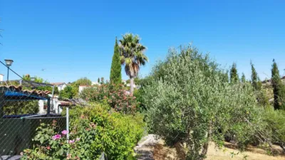 House in Casa de Campo with 3,000 sqm in El Castillo de Las Guardas photo 7