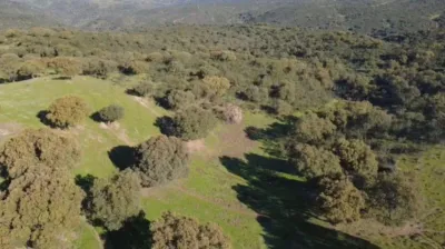 Finca rústica en Finca Dehesa de 325 Hectáreas en Estornino - Alcántara photo 4