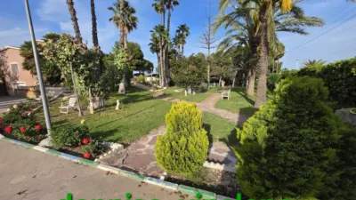 Casa – Elx - Elche - Vista 4