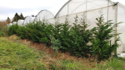 Finca rústica en venta en Akarlanda Errepidea . Erandio, Erandio de 250.000 €