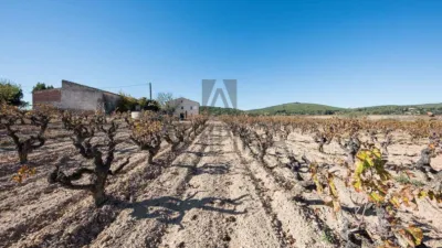 Rustic finca in Sant Martí Sarroca photo 44