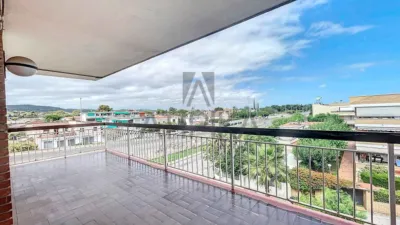 Apartment in Playa photo 12