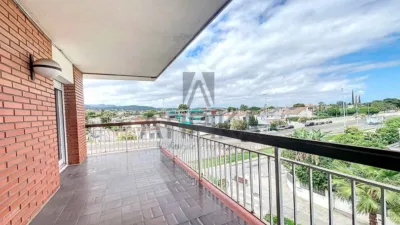 Apartment in Playa photo 2