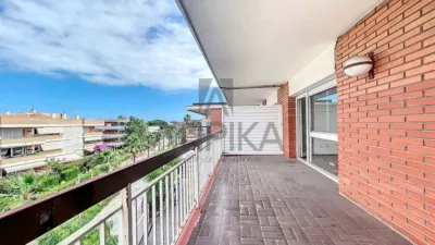 Apartment in Playa photo 3