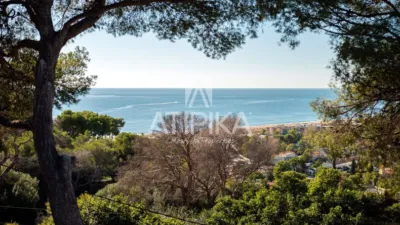 Villa in Bellamar photo 3
