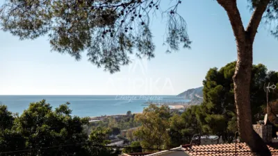 Villa in Bellamar photo 4