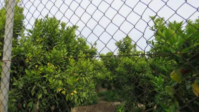 Terreno en venta en Casco Urbano - Más