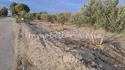 Rustic Finca for Sale in Seferino photo 10