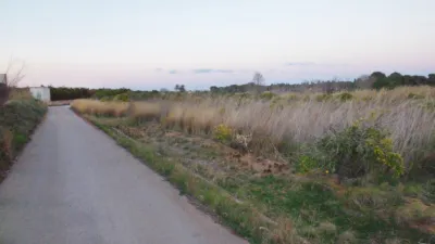 Terreno en venta en Ondara - Más