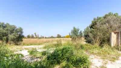 Terreno en venta en La Pedrera-Vessanes - Vista 2