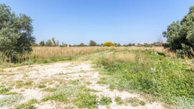 Terreno en venta en La Pedrera-Vessanes - Vista 3