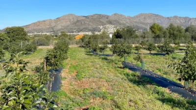 Casa - Vista 4