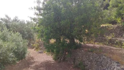 Terreno en venta en Campo - Vista 3