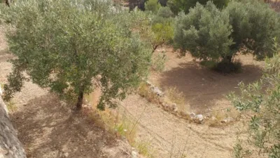 Terreno en venta en Campo - Vista 4